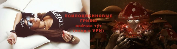 эйфоретик Белокуриха