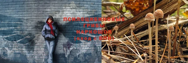 синтетический гашиш Беломорск