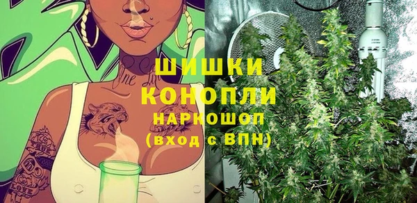 эйфоретик Белокуриха